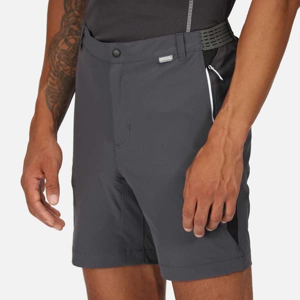 Regatta Mountain Ii Shorts Grå 32 Mand