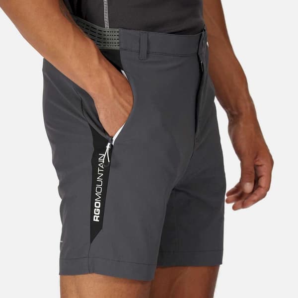Regatta Mountain Ii Shorts Grå 32 Mand