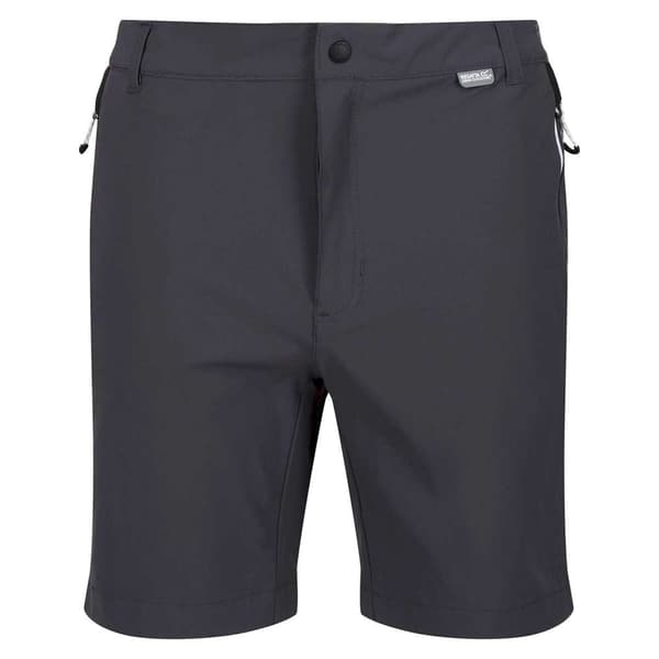 Regatta Mountain Ii Shorts Grå 32 Mand