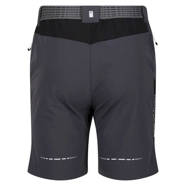 Regatta Mountain Ii Shorts Grå 32 Mand