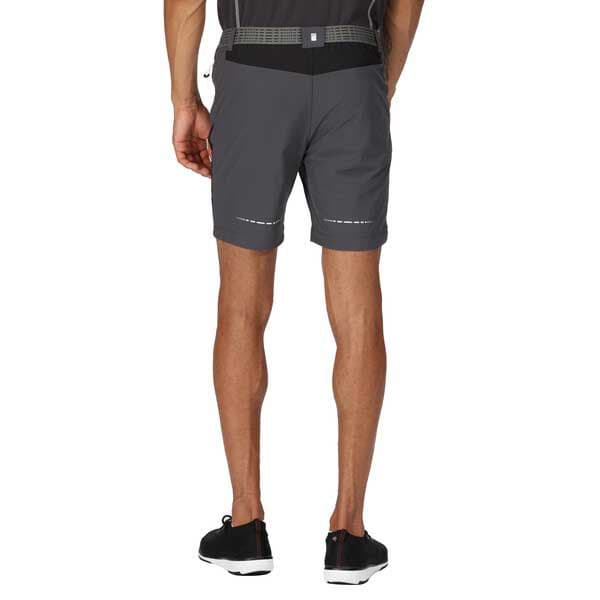Regatta Mountain Ii Shorts Grå 32 Mand