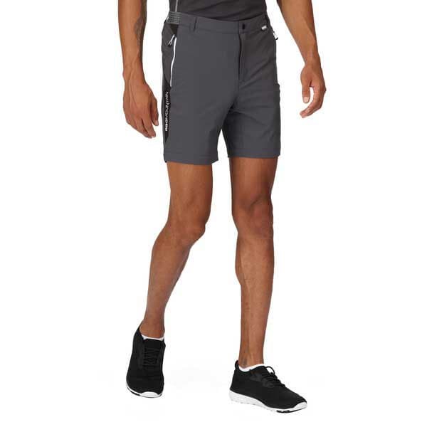 Regatta Mountain Ii Shorts Grå 32 Mand