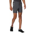 Miniatyrbillede 1 af 10: Regatta Mountain Ii Shorts Grå 32 Mand