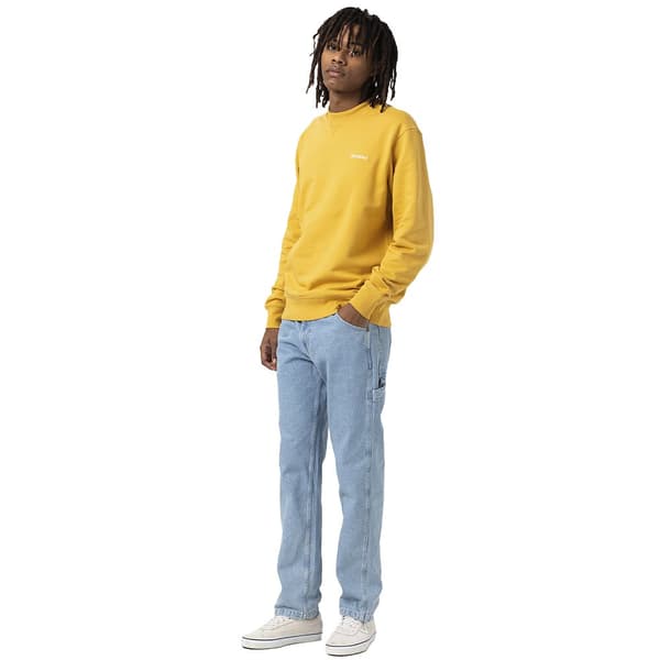 Dickies Garyville Jeans Blå 34 / 30 Man
