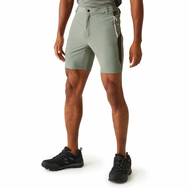 Regatta Mountain Ii Shortsit Harmaa 40 Mies
