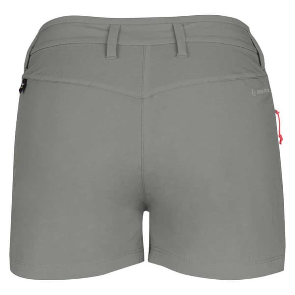 Salewa Puez Dst Shorts Grå DE 38 Kvinna