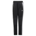 Miniatyrbild 3 av 6: Adidas Tiro 24 Winterized Junior Träningsbyxor  15-16 Years Pojke