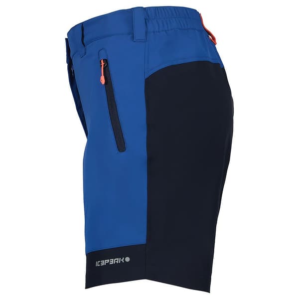 Icepeak Bastrop Shorts Blå 42 Kvinna