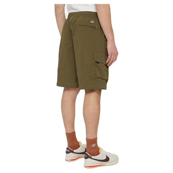 Dickies Jackson Cargo Shorts Grøn L Mand
