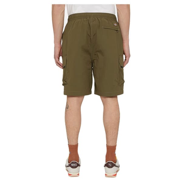 Dickies Jackson Cargo Shorts Grøn L Mand