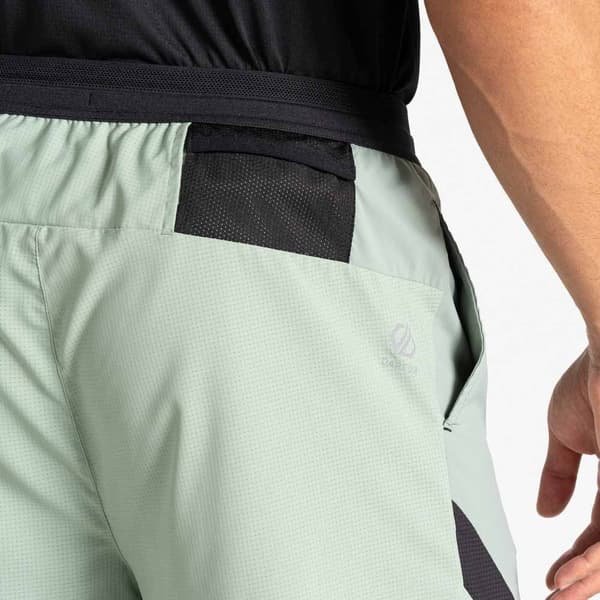 Dare2b Ultimate Shorts Grøn XL Mand