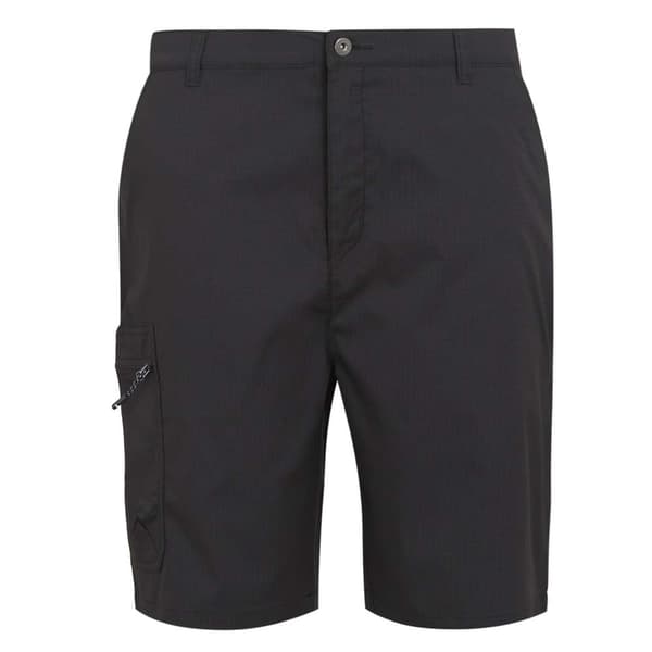 Regatta Dalry Shorts Sort 33 Mand