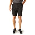 Miniatyrbillede 1 af 7: Regatta Dalry Shorts Sort 33 Mand