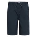 Miniatyrbillede 3 af 7: Regatta Aldan Shorts Blå 40 Mand