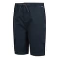 Miniatyrbillede 5 af 7: Regatta Aldan Shorts Blå 40 Mand