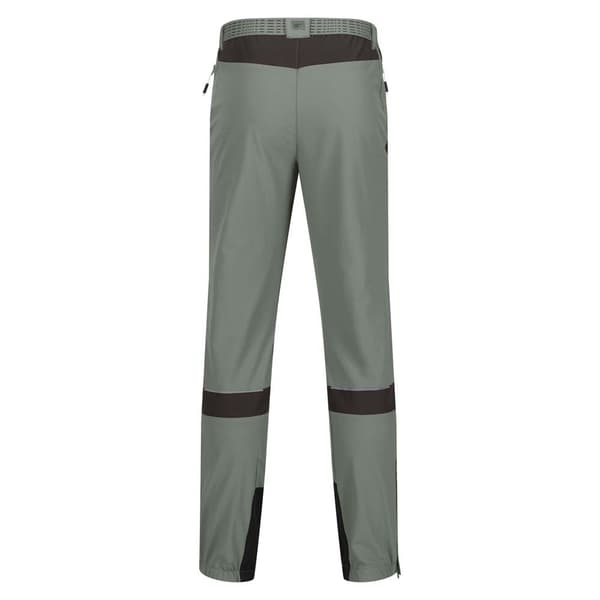 Regatta Mountain Iii Bukser Grøn 42 / Short Mand