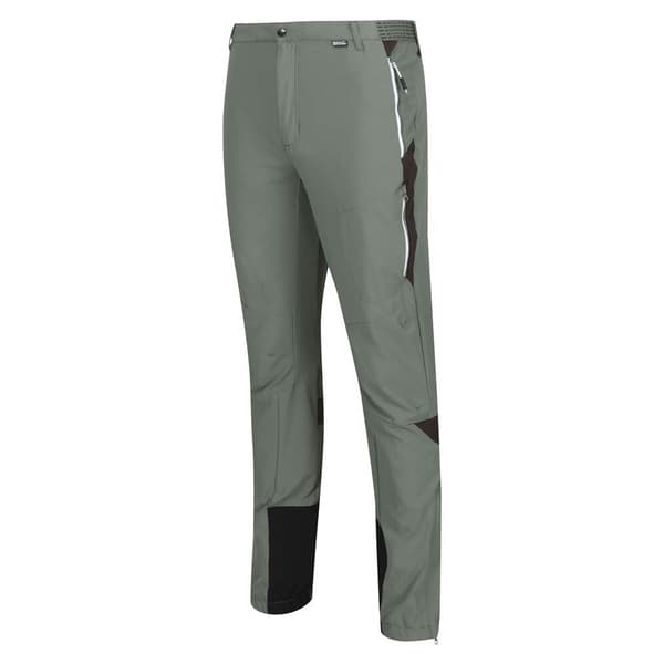 Regatta Mountain Iii Bukser Grøn 42 / Short Mand