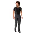 Miniatyrbild 6 av 6: Vaude Farley Stretch Zip Off Ii Byxor Svart 46 / Regular Man
