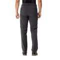 Miniatyrbillede 2 af 6: Vaude Farley Stretch Zip Off Ii Bukser Sort 56 / Short Mand