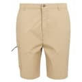 Miniatyrbillede 3 af 7: Regatta Dalry Shorts Beige 30 Mand