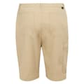 Miniatyrbillede 4 af 7: Regatta Dalry Shorts Beige 30 Mand