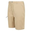 Miniatyrbillede 5 af 7: Regatta Dalry Shorts Beige 30 Mand