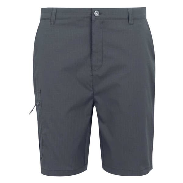 Regatta Dalry Shorts Grå 30 Mand