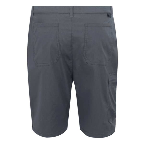 Regatta Dalry Shorts Grå 30 Mand