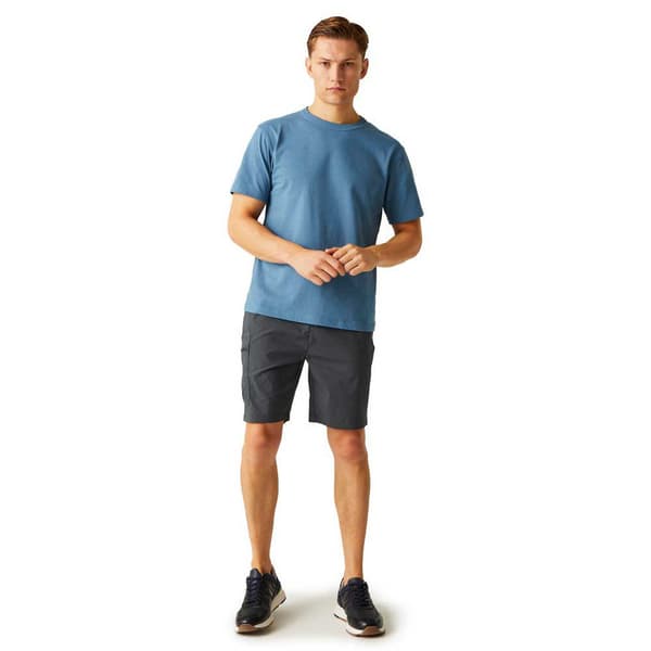 Regatta Dalry Shorts Grå 30 Mand