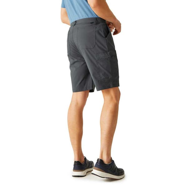 Regatta Dalry Shorts Grå 30 Mand