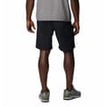 Miniatyrbillede 2 af 6: Columbia Silver Ridge™ Shorts Grå 38 / 8 Mand