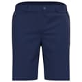 Pikkukuva 3 / 6: Odlo Ascent Light Shortsit Sininen 48 Mies