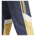 Pikkukuva 6 / 6: Adidas Juventus Seasonal Verryttelyhousut  2XL Mies
