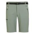 Miniatyrbillede 3 af 6: Regatta Xert Stretch Iii Shorts Grøn 56 / Regular Mand