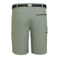 Miniatyrbillede 4 af 6: Regatta Xert Stretch Iii Shorts Grøn 56 / Regular Mand
