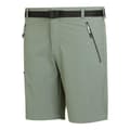 Miniatyrbillede 5 af 6: Regatta Xert Stretch Iii Shorts Grøn 56 / Regular Mand