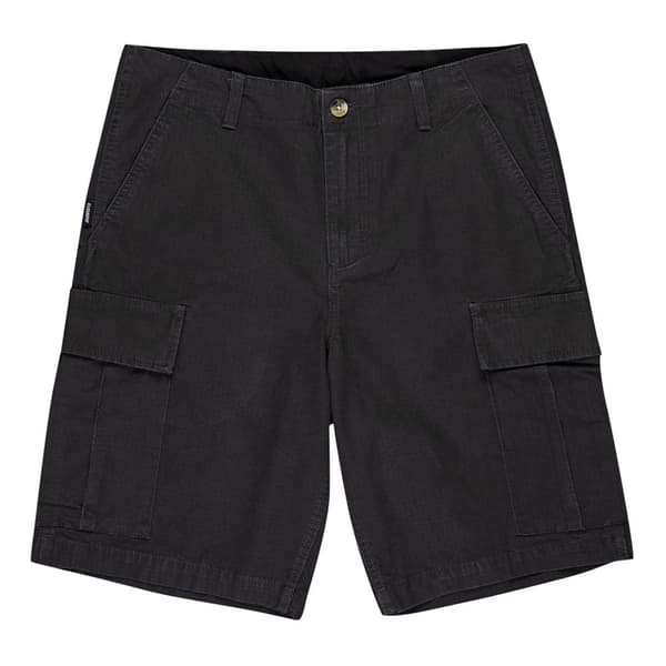Element Legion Cargo Shorts Grå 30 Man