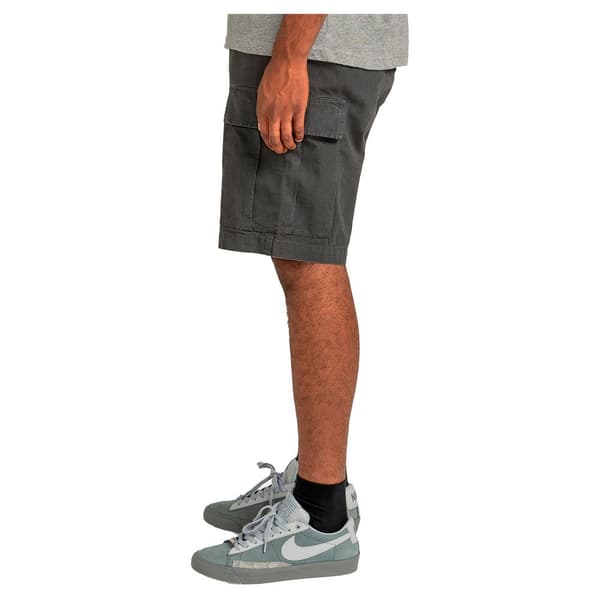 Element Legion Cargo Shorts Grå 30 Man