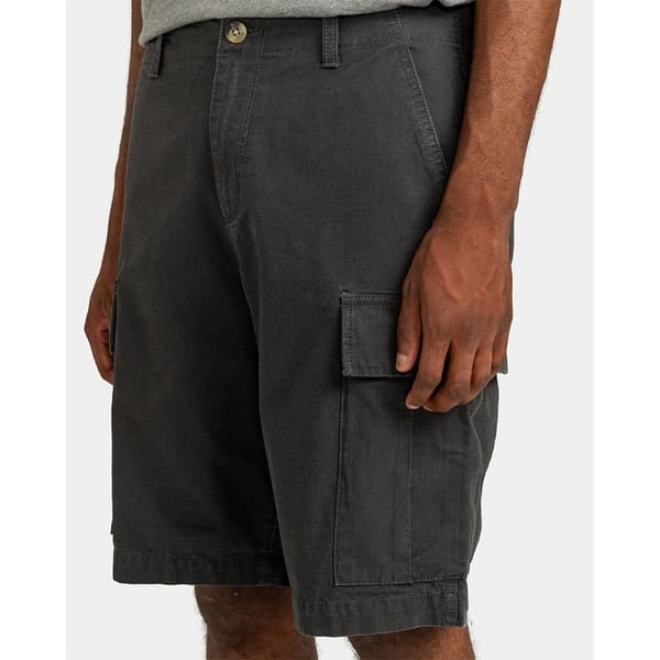 Element Legion Cargo Shorts Grå 30 Man