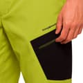 Miniatyrbillede 5 af 7: Trangoworld Laruns Sf Shorts Grøn 2XL Mand