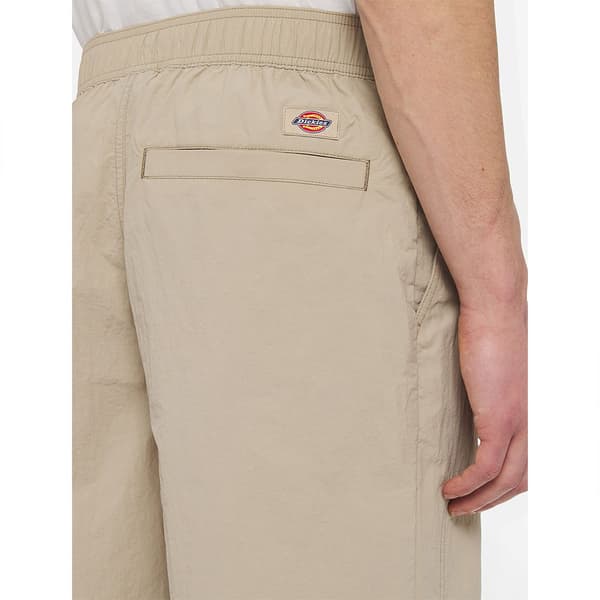 Dickies Jackson Cargobukser Beige L Mand