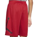 Miniatyrbild 2 av 3: Jordan Jumpman Wrap Mesh Junior-shorts  12 Years Man