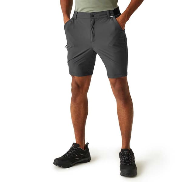 Regatta Travel Light Shorts Grå 42 Mand