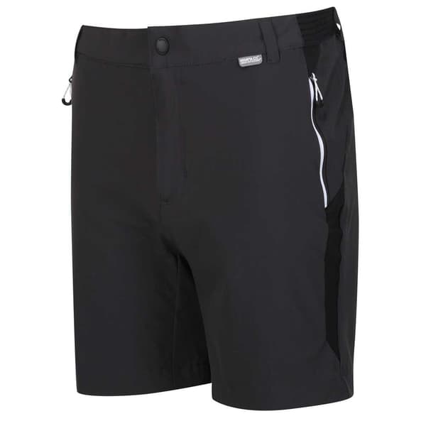 Regatta Mountain Ii Shorts Sort 36 Mand