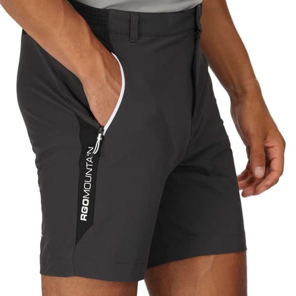 Regatta Mountain Ii Shorts Sort 36 Mand