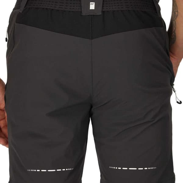 Regatta Mountain Ii Shorts Sort 36 Mand