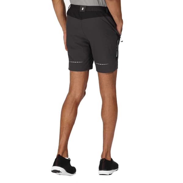 Regatta Mountain Ii Shorts Sort 36 Mand