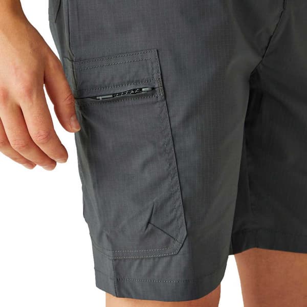 Regatta Dalry Shorts Grå 42 Mand