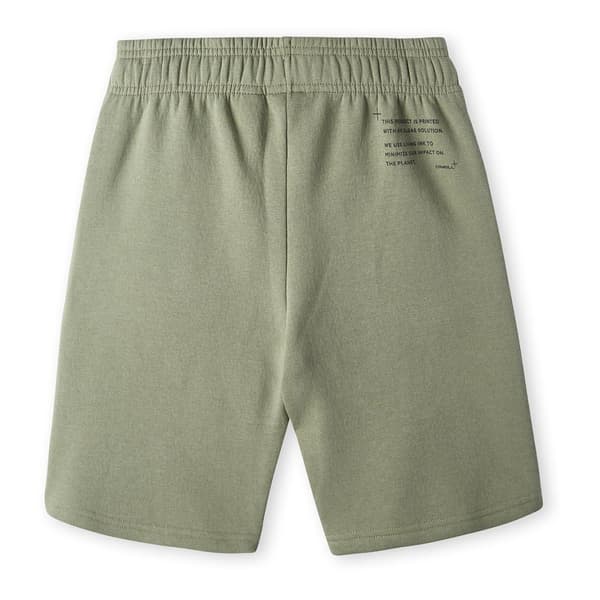 O´neill Future Surf Shorts Grönt 13-14 Years Pojke