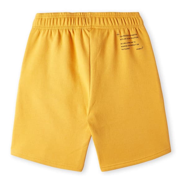 O´neill Future Surf Shorts Gul 14-15 Years Pojke